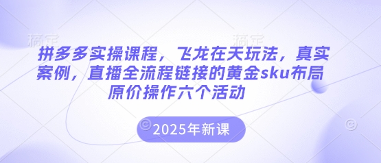 拼多多实操课程，飞龙在天玩法，真实案例，直播全流程链接的黄金sku布局原价操作六个活动-众缘演示