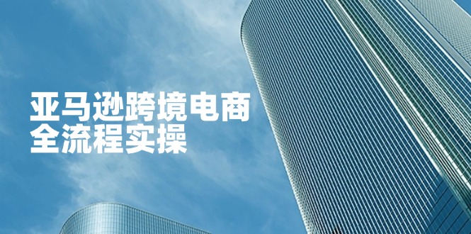 （14252期）亚马逊跨境电商全流程实操，教你从零开始，掌握店铺运营与广告技巧-众缘演示