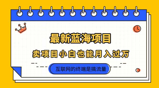 （14289期）2025年最新蓝海项目，卖项目小白也能月入过万-众缘演示