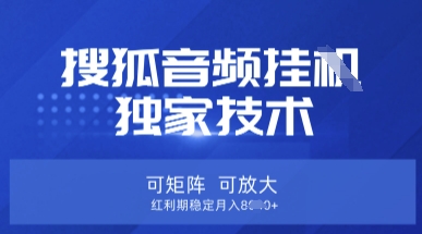 【搜狐音频挂G】独家技术，可矩阵可放大，红利期稳定月入8k【揭秘】-众缘演示
