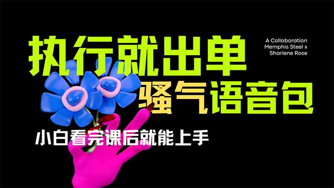 （14170期）爆火全网的开车导航骚气语音包,只要执行就出单，小白看完课程就能实操...-众缘演示