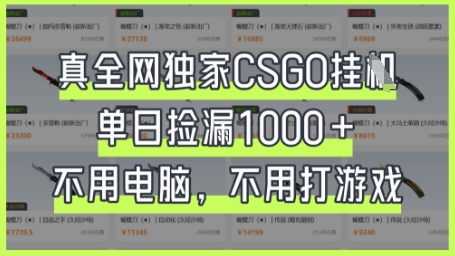 真全网独家CSGO挂G，单日捡漏1k+【揭秘】-众缘演示